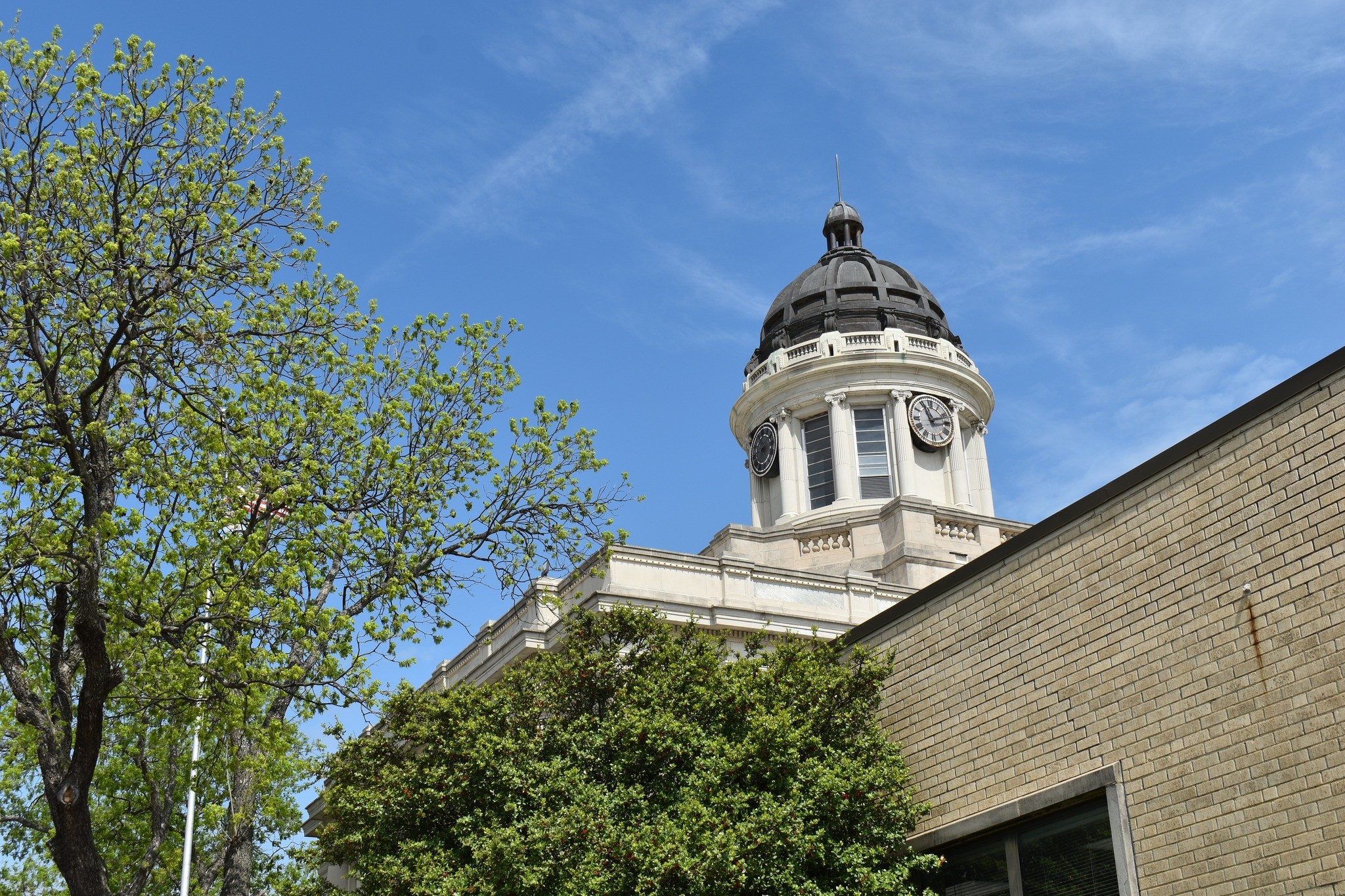The dome of the Carter County Courthouse pierces the sky from behind a brick building, with trees and bushes in bloom on a spring day